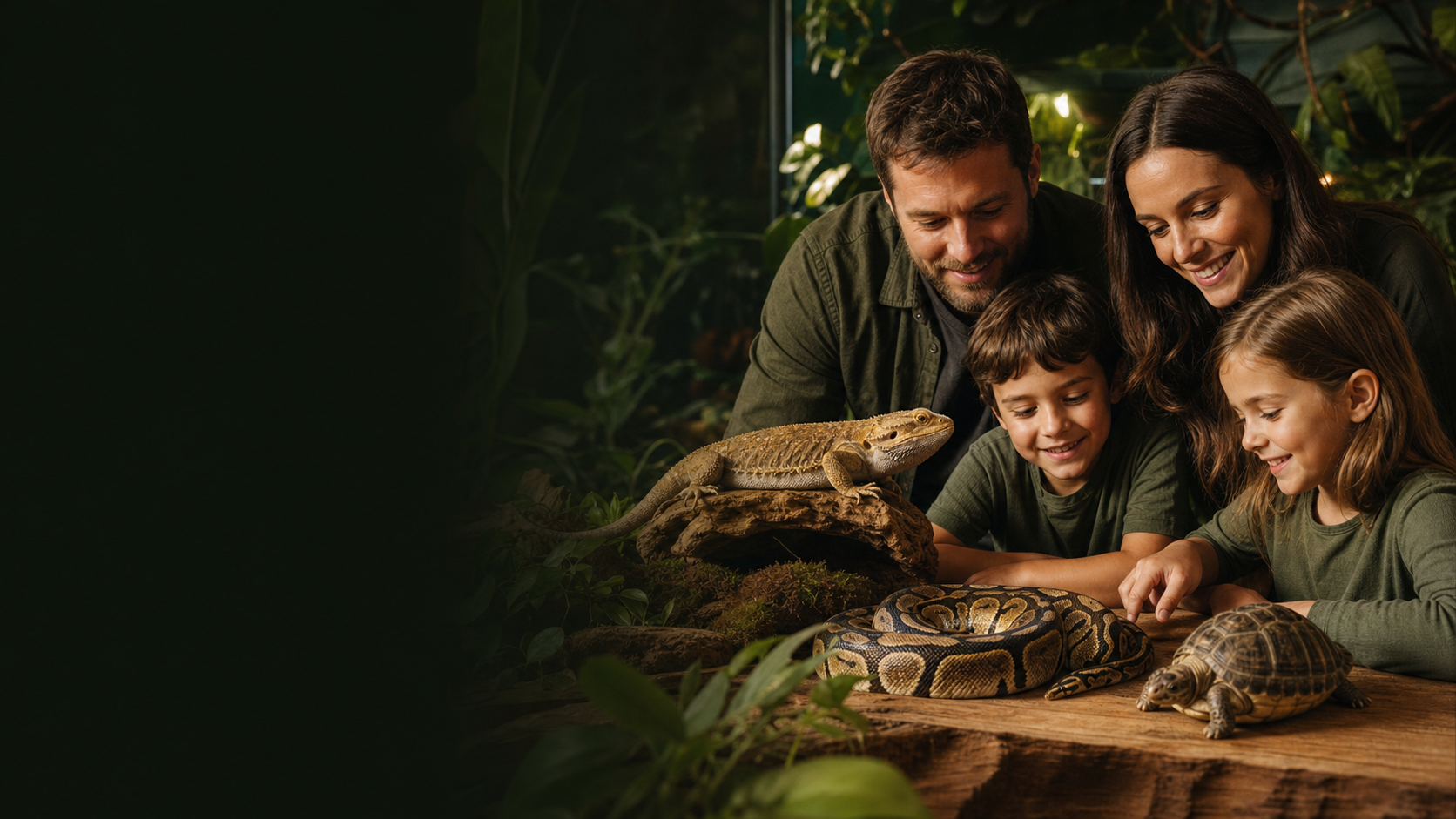A family carefully observing a bearded dragon, ball python, and tortoise